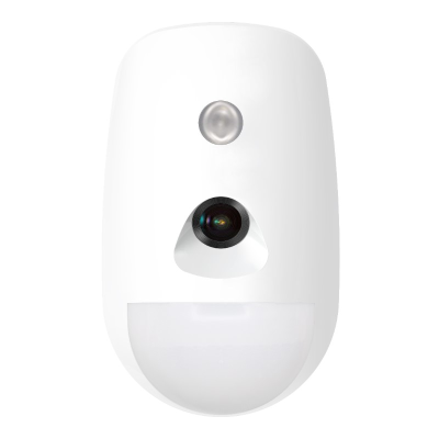 Hikvision Hybrid Pro PIRCAM, Pet Immune